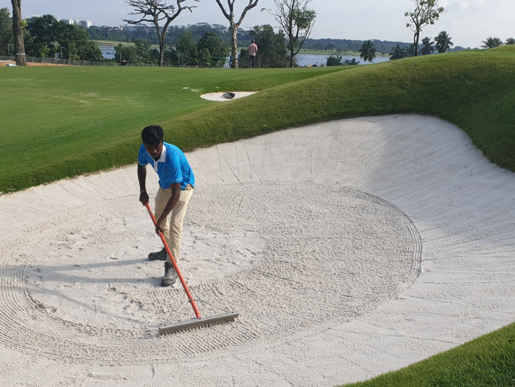 Golf course maintenance and shaping