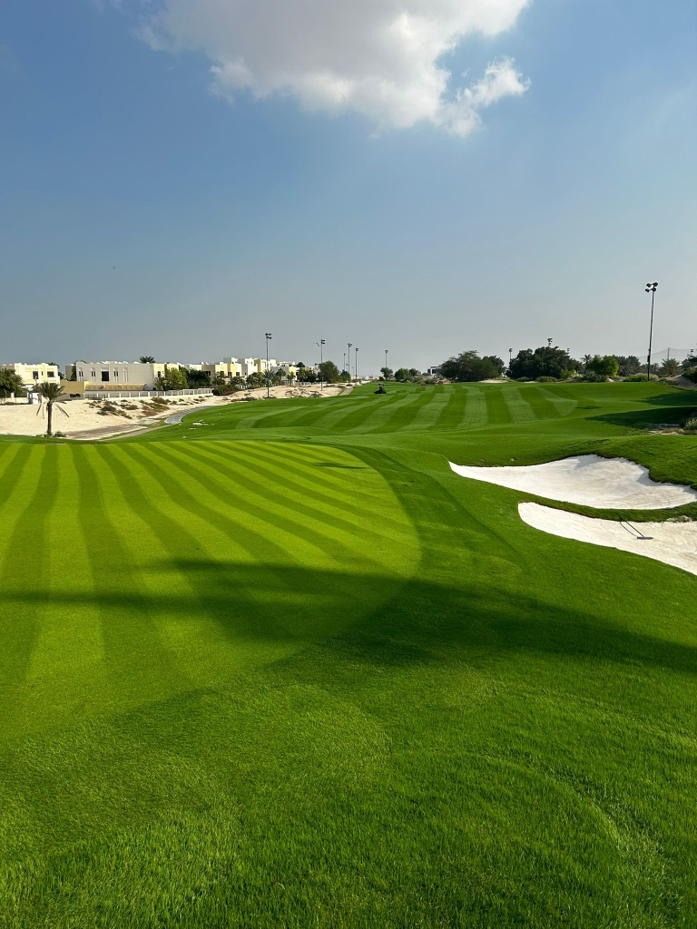 Finishing & Comprehensive Grassing